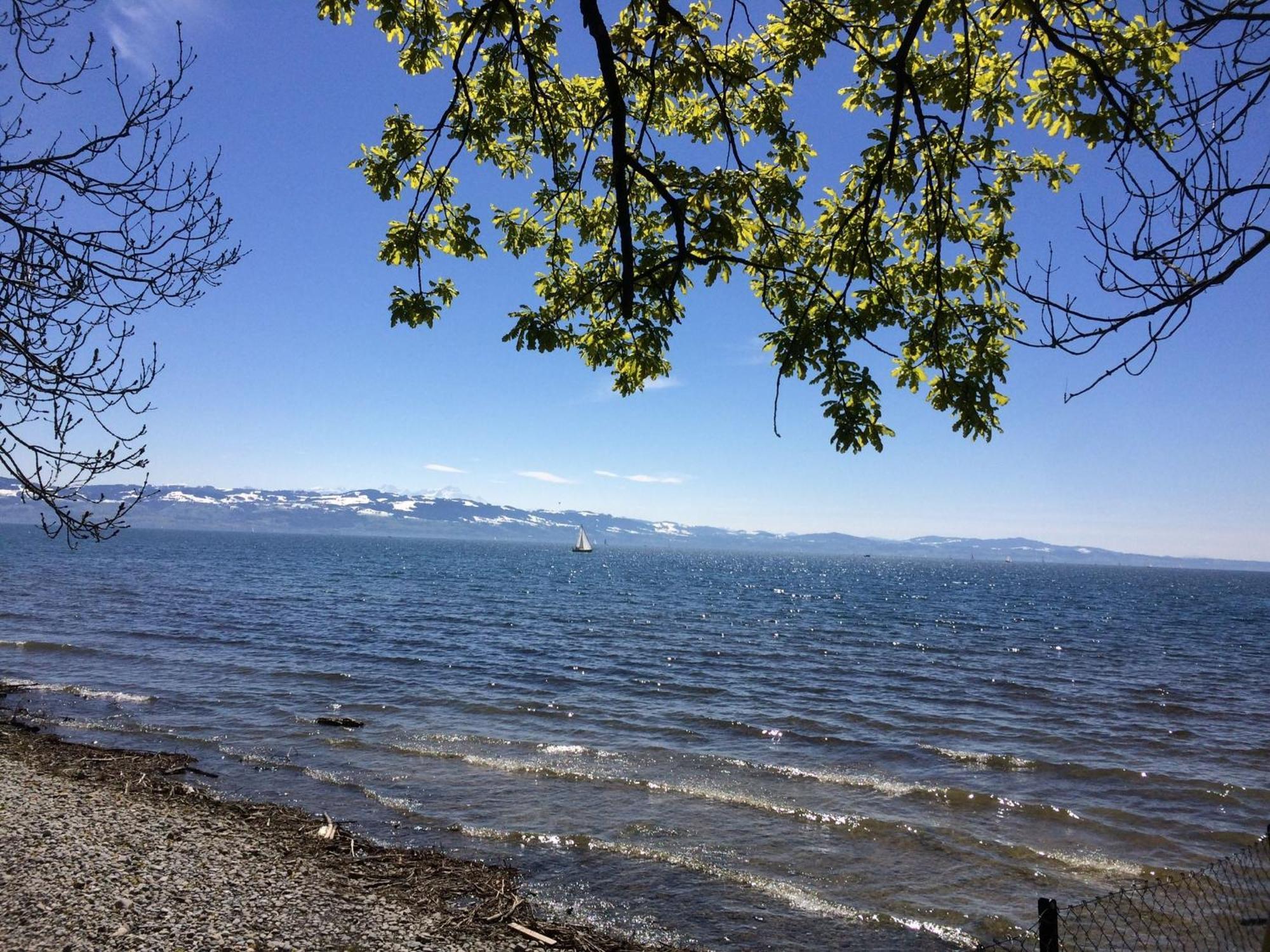 Maisonette Am See Ноненхорн Екстериор снимка
